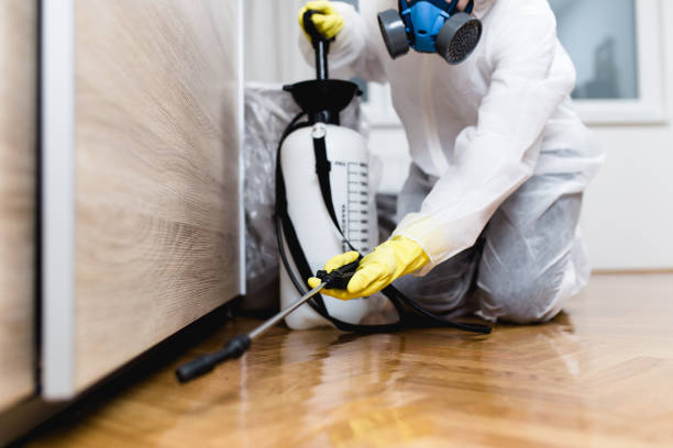 Best Mosquito Control Services  in Fox Lake, WI