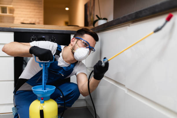 Best Affordable Pest Control Services  in Fox Lake, WI