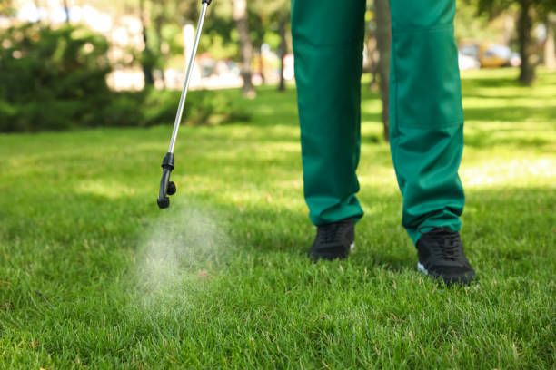 Best Pest Inspection Near Me  in Fox Lake, WI
