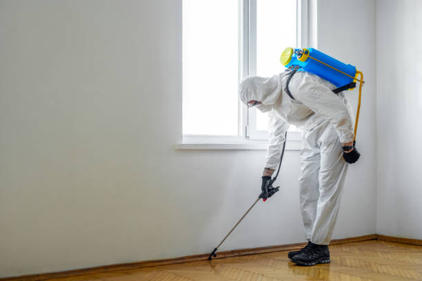 Best Best Pest Control Companies  in Fox Lake, WI