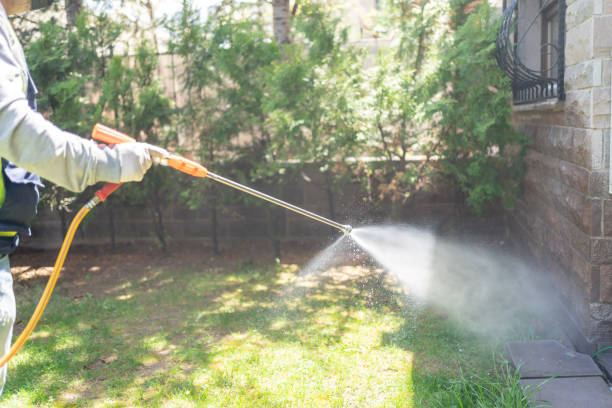 Best Termite Control Services  in Fox Lake, WI