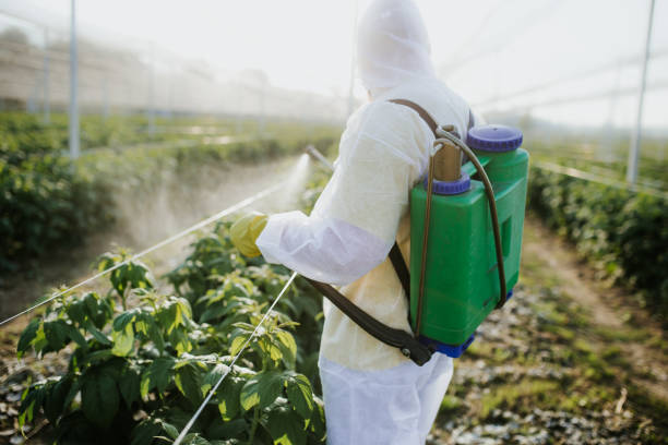 Reliable Fox Lake, WI Pest Control Solutions